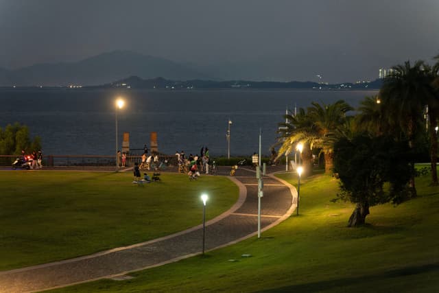 深圳湾公园