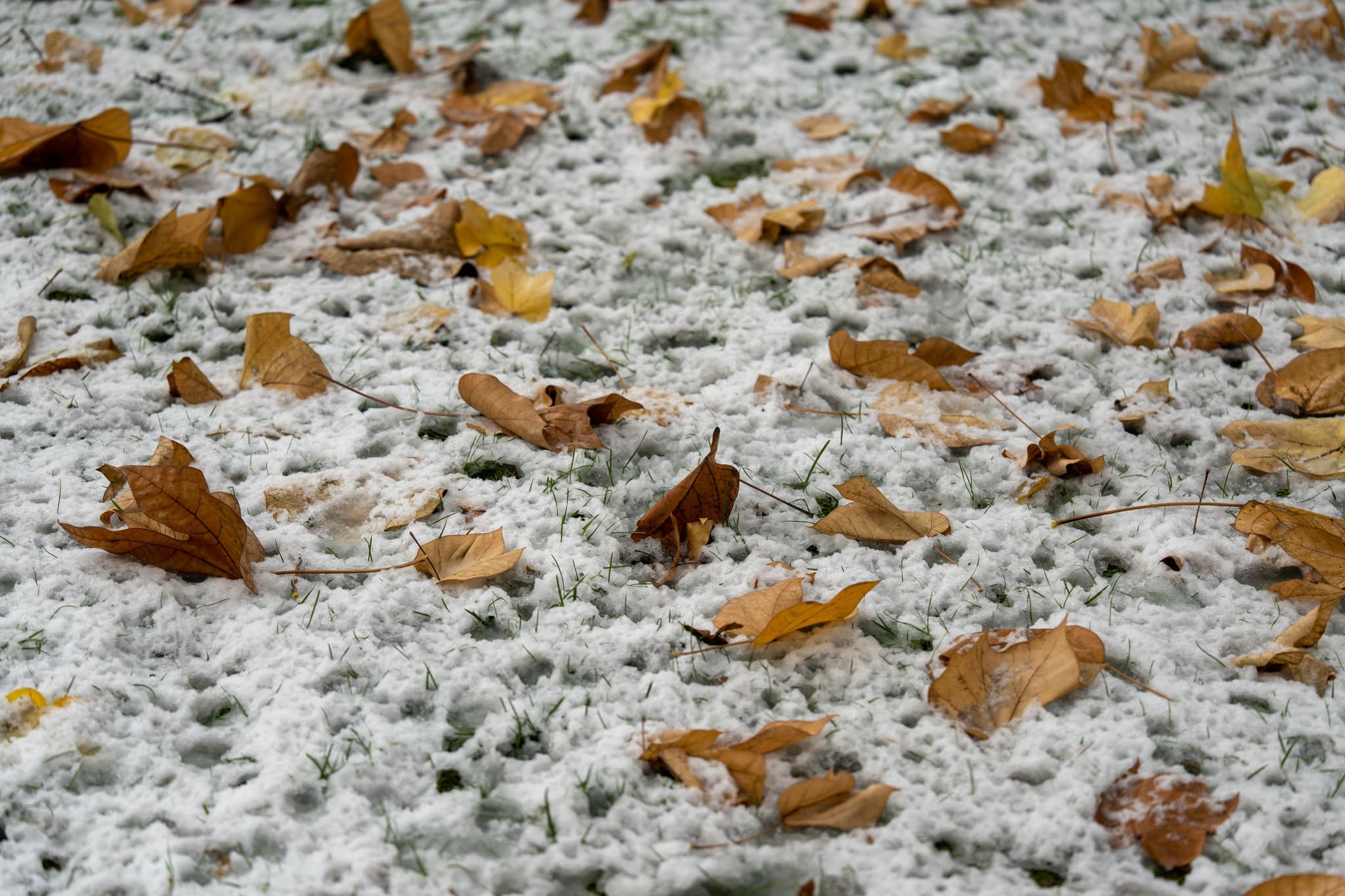 西安的第一场雪