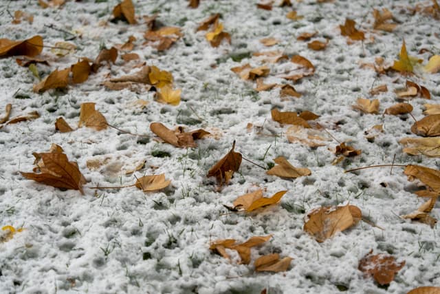 西安的第一场雪