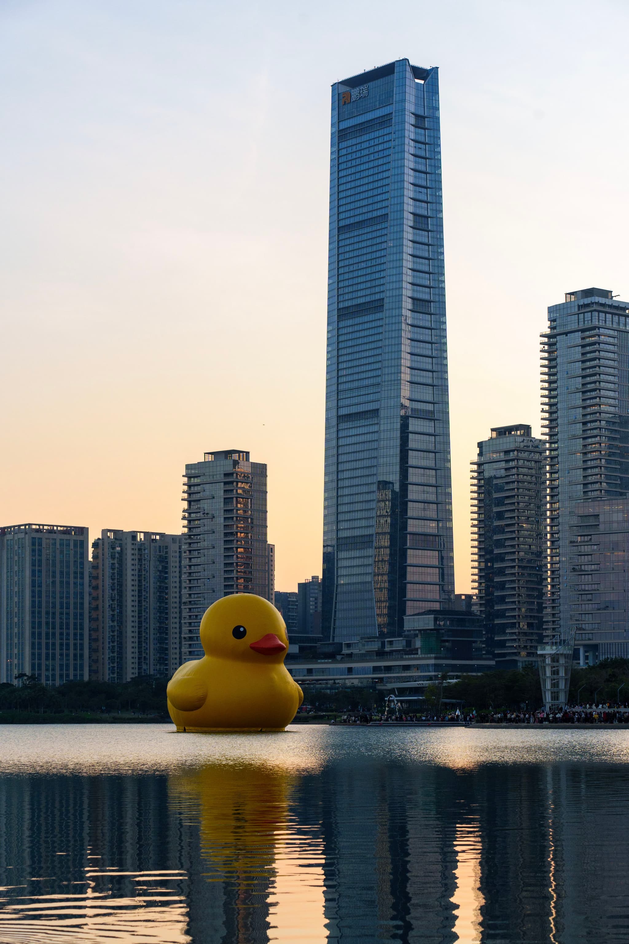 深圳湾公园的大黄鸭