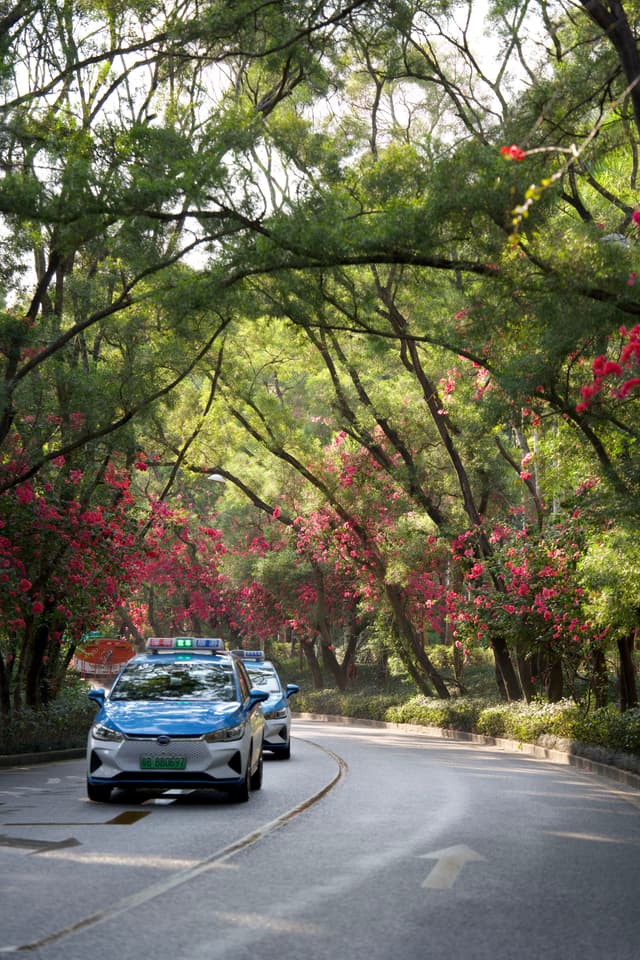 一辆出租车驶过