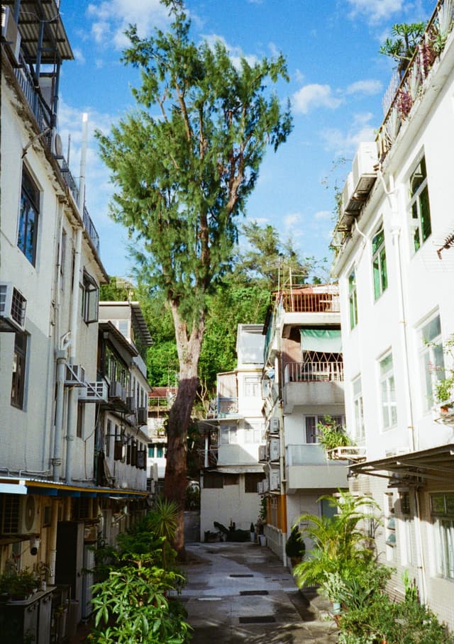 坪洲岛上的居民楼