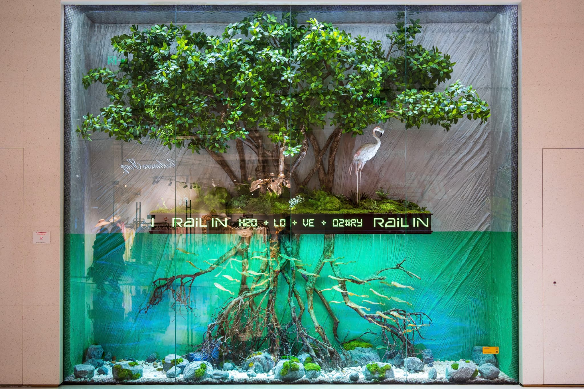 向上生长，向下扎根