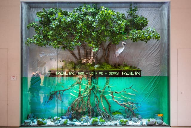 向上生长，向下扎根