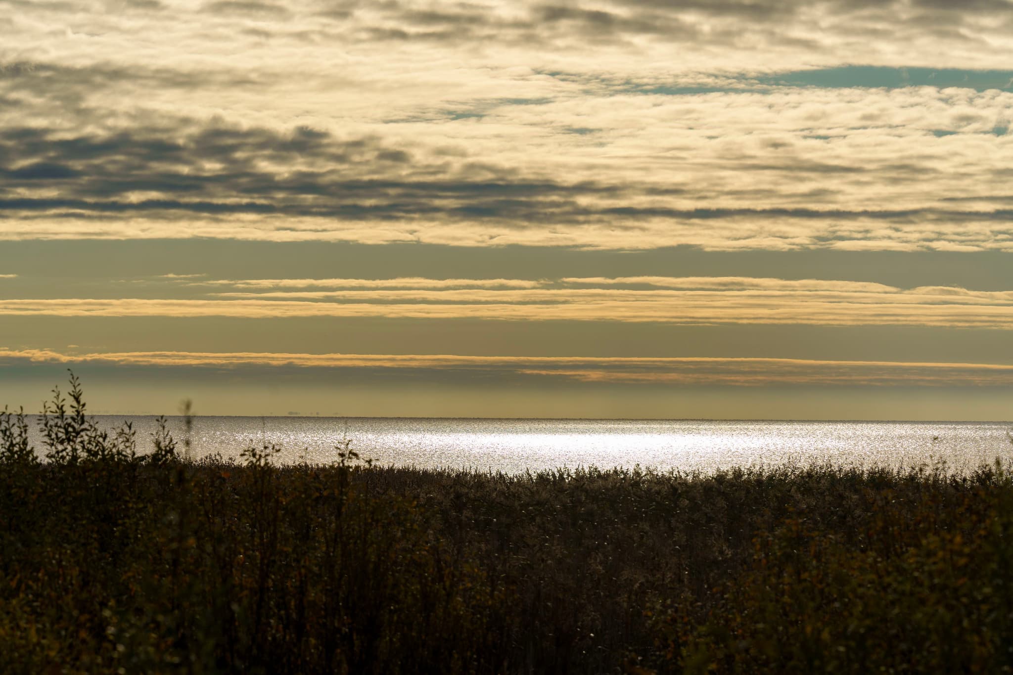 拉多加湖的早晨