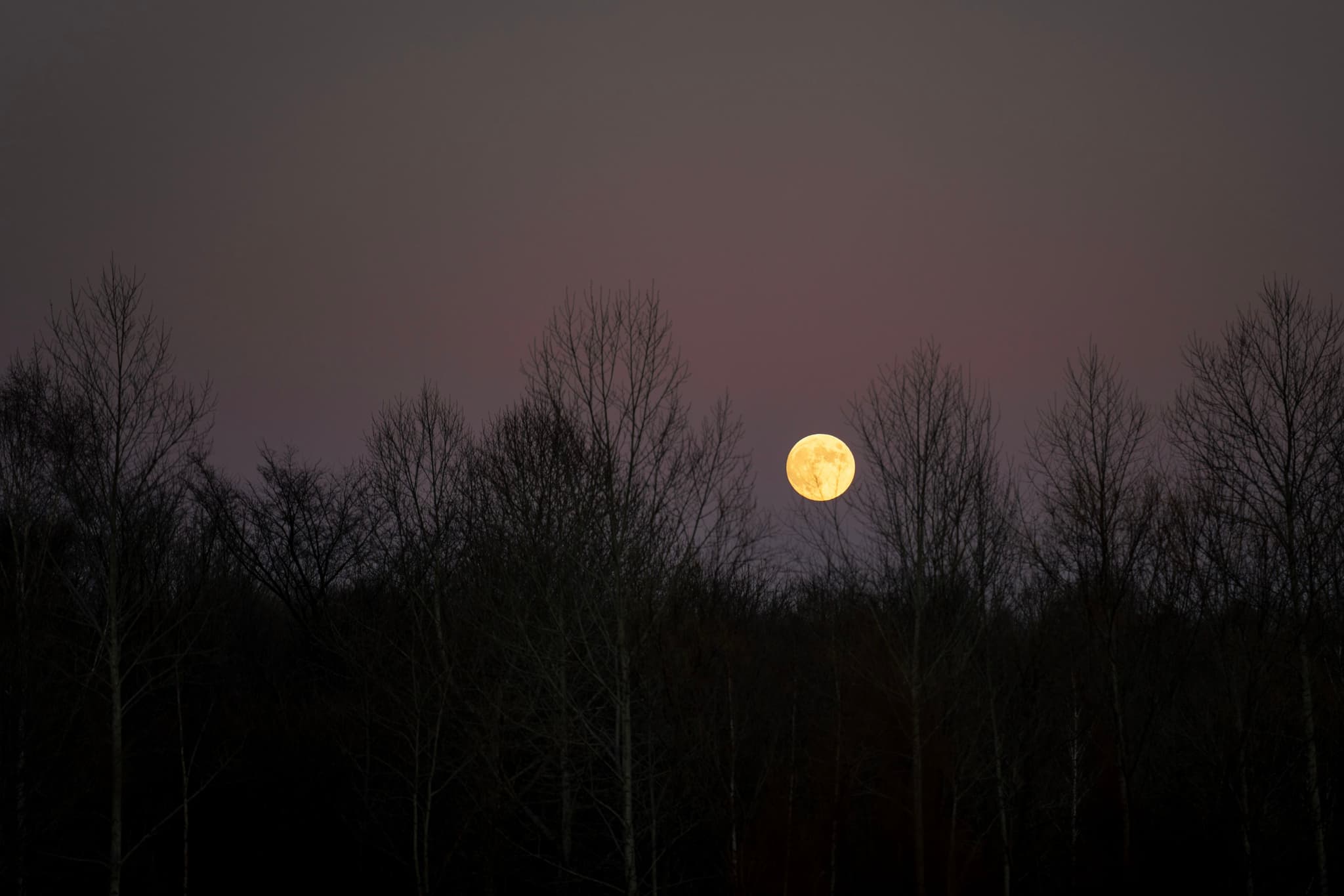 夜晚的一轮圆月