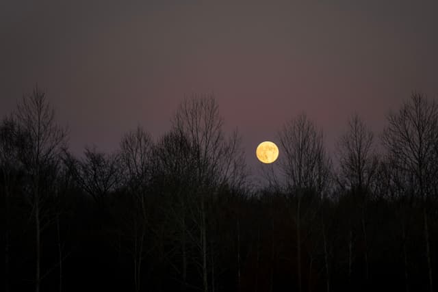 夜晚的一轮圆月