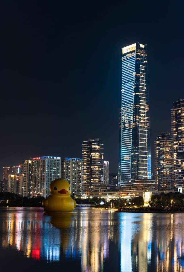 深圳人才公园大黄鸭