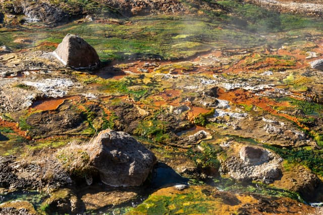 五颜六色的大地