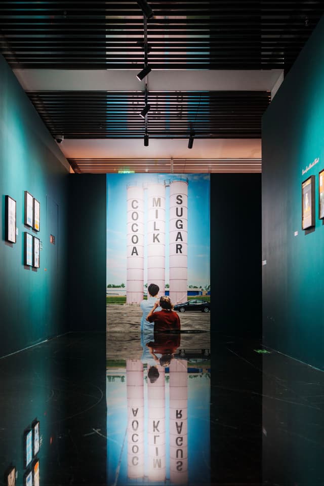 韦斯安德森展览