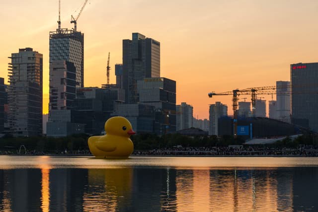 深圳湾公园的大黄鸭
